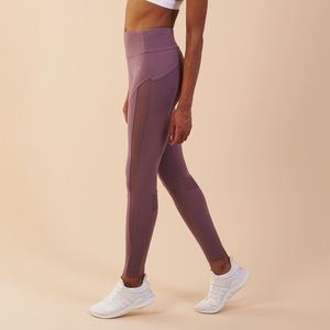Gym shark sleek aspire leggings